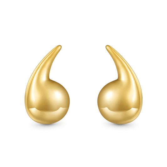 Gnoce Drop Shape Earrings_1