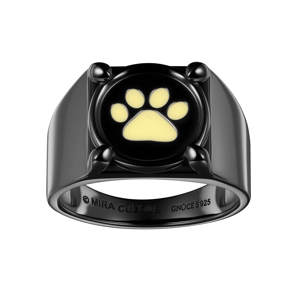 Miraculous Anillo de Cat Noir Que Brilla En La Oscuridad